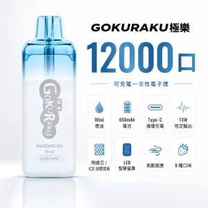 GOKURAKU 極樂 拋棄式 12000口 13W 智慧螢幕