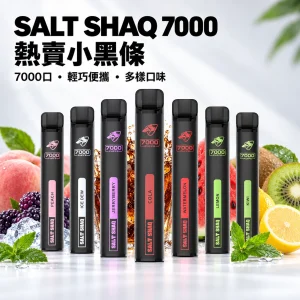 鯊克 SALT SHAQ 小黑條 拋棄式 7000口 19種口味